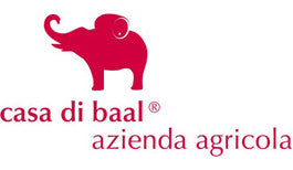 Casa di Baal